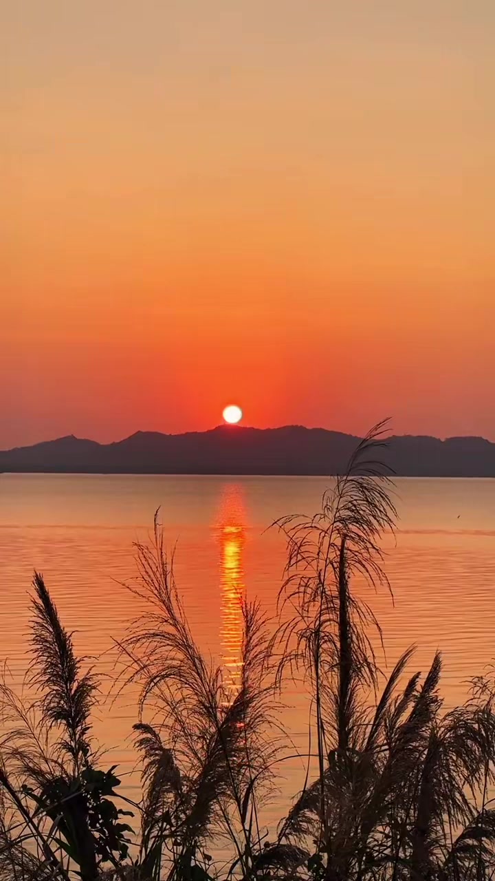 @Julie Martin-Cottini