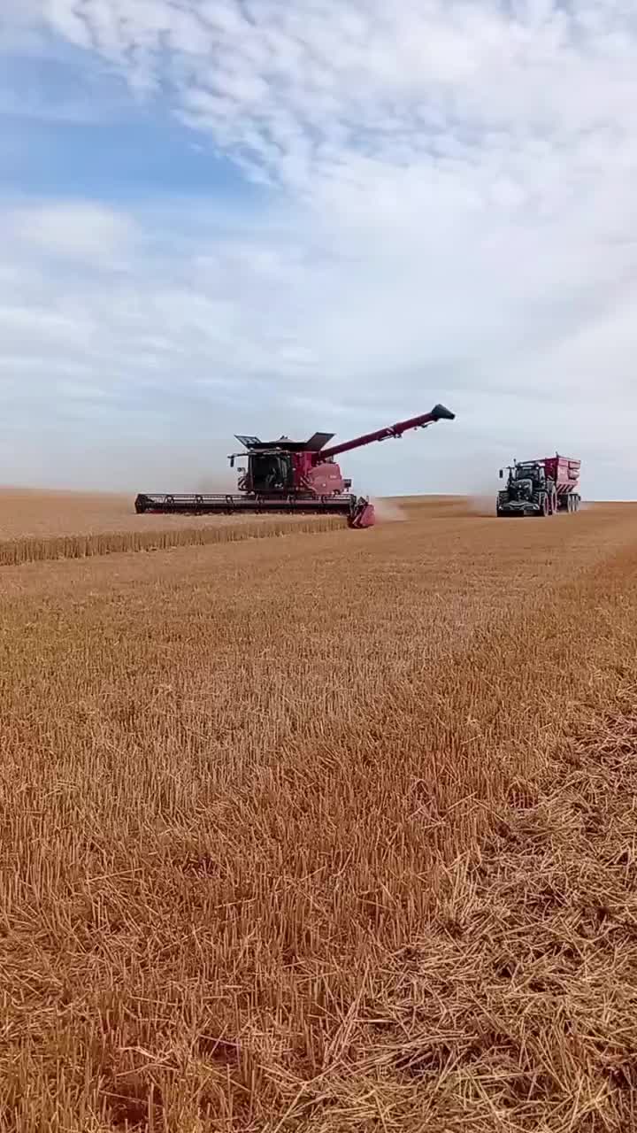 @bryan2302982