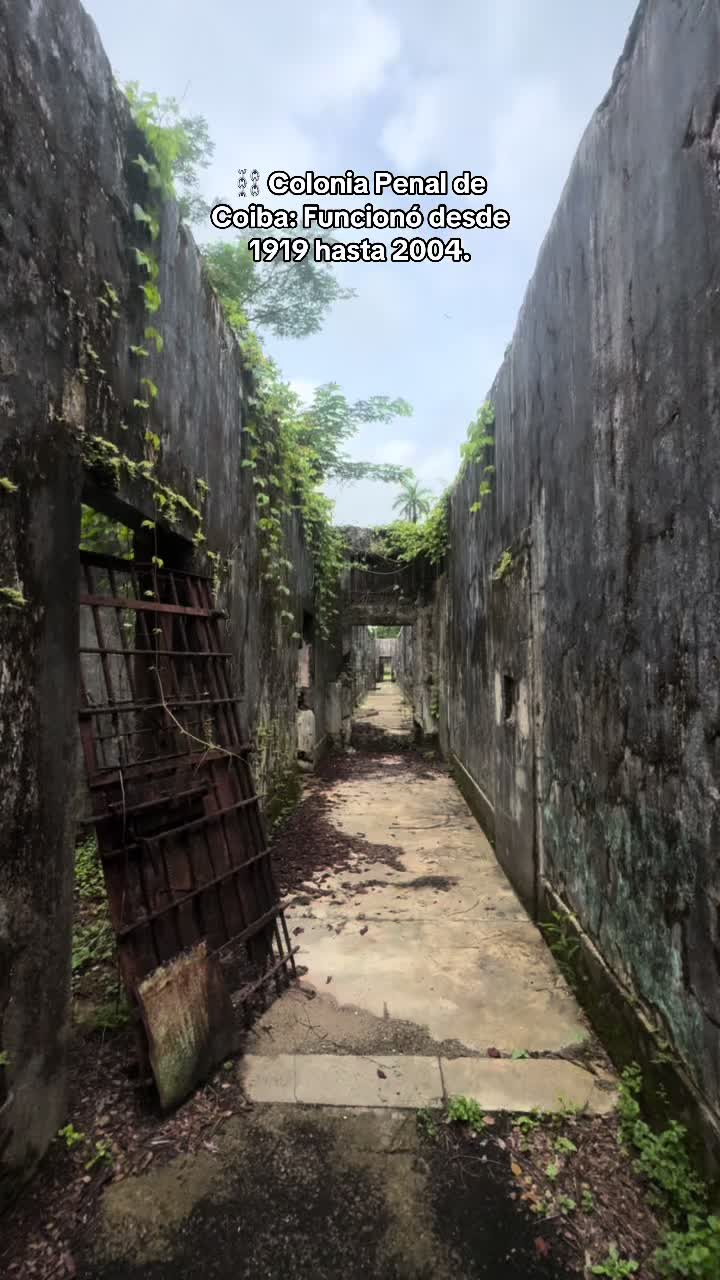 @Coral tours Panam&aacute; 🇵🇦