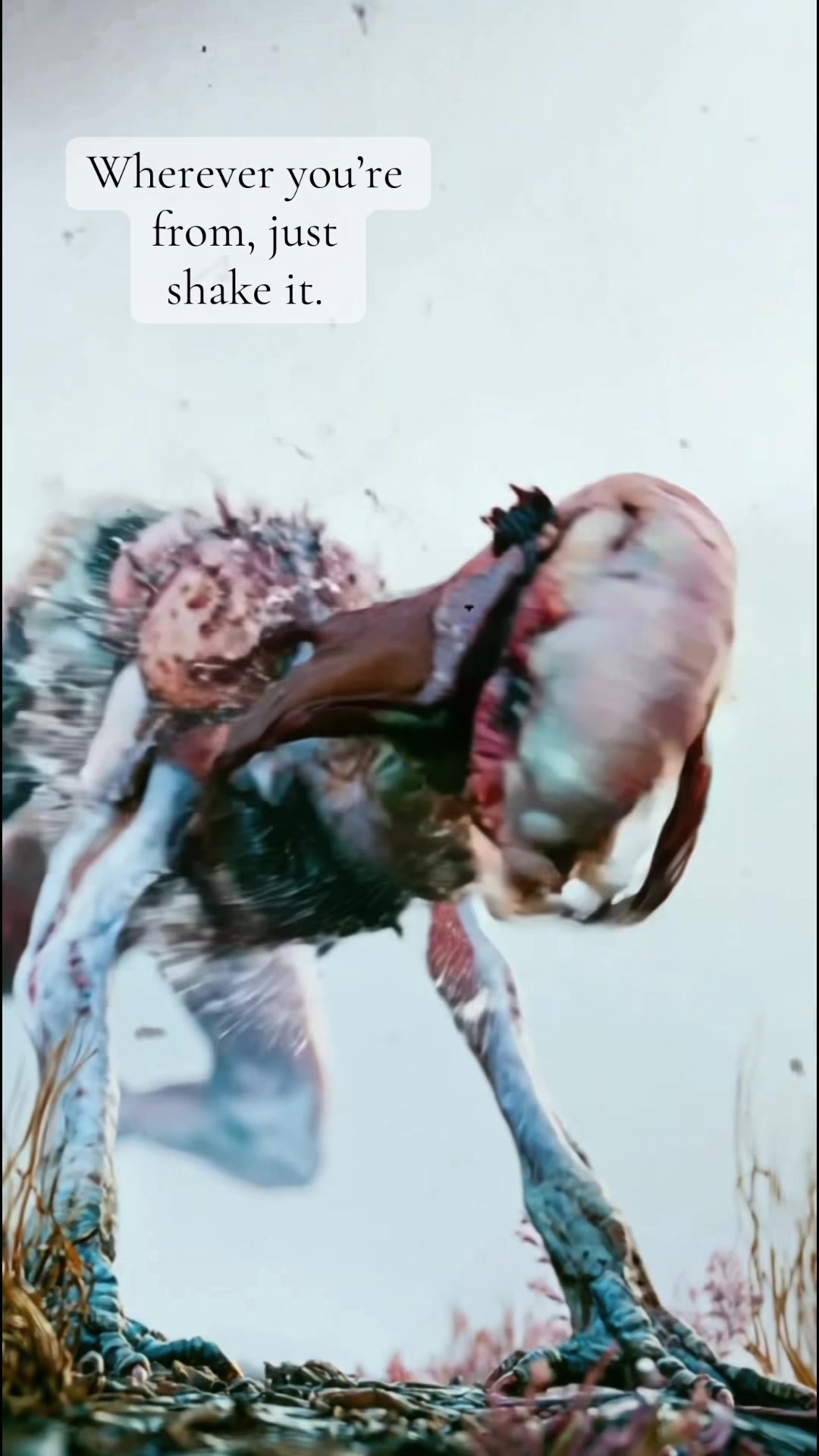 @ExoplanetWildlife