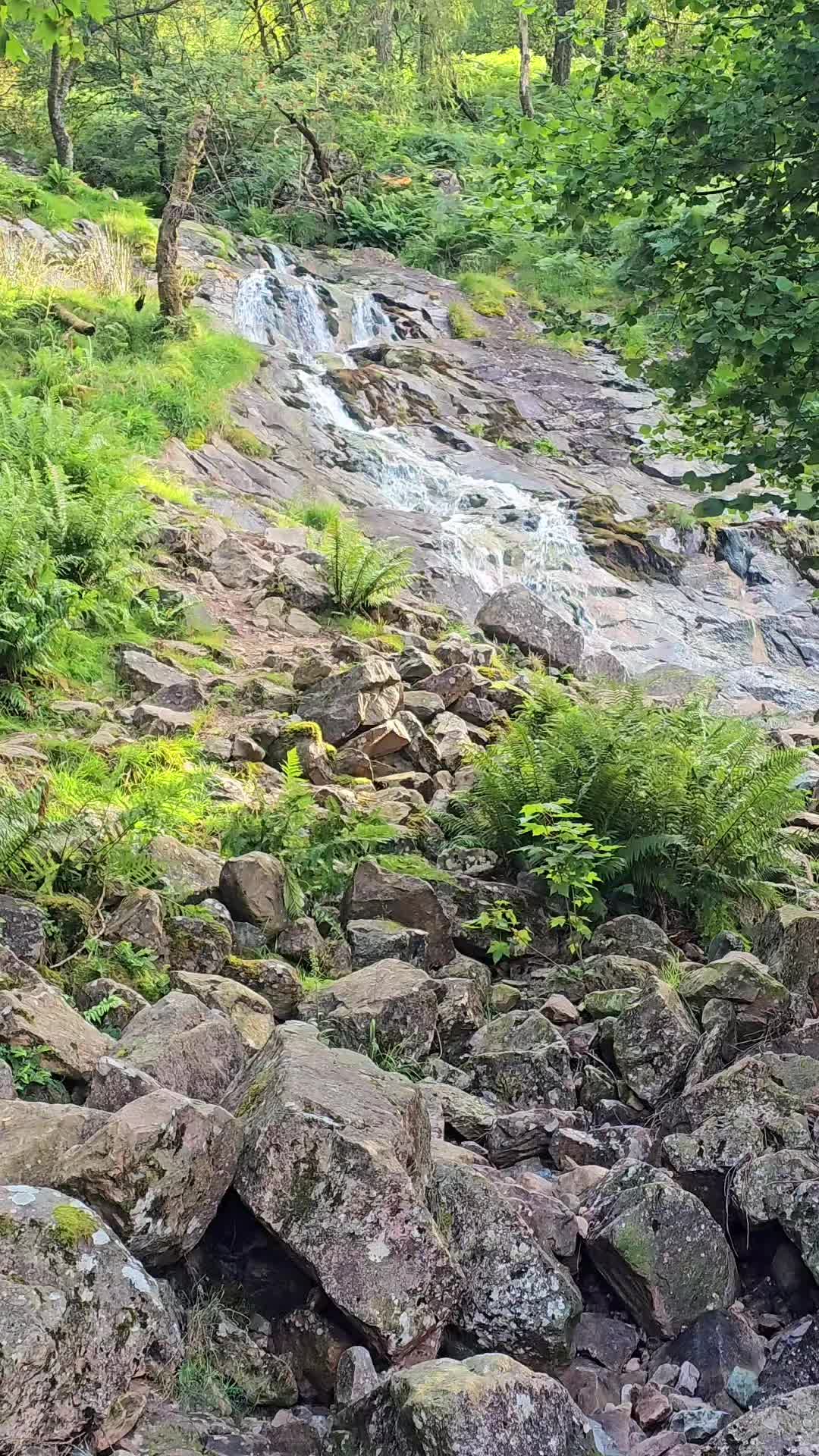 @Diary of a nature lover