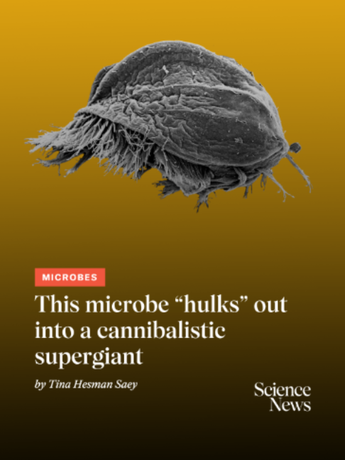 @Science News
