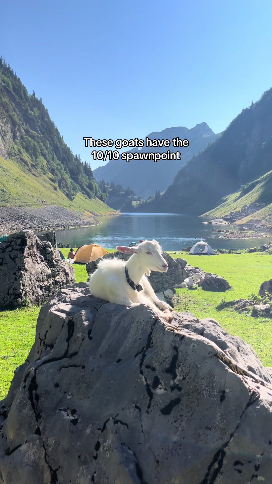 @Sweder🏔️