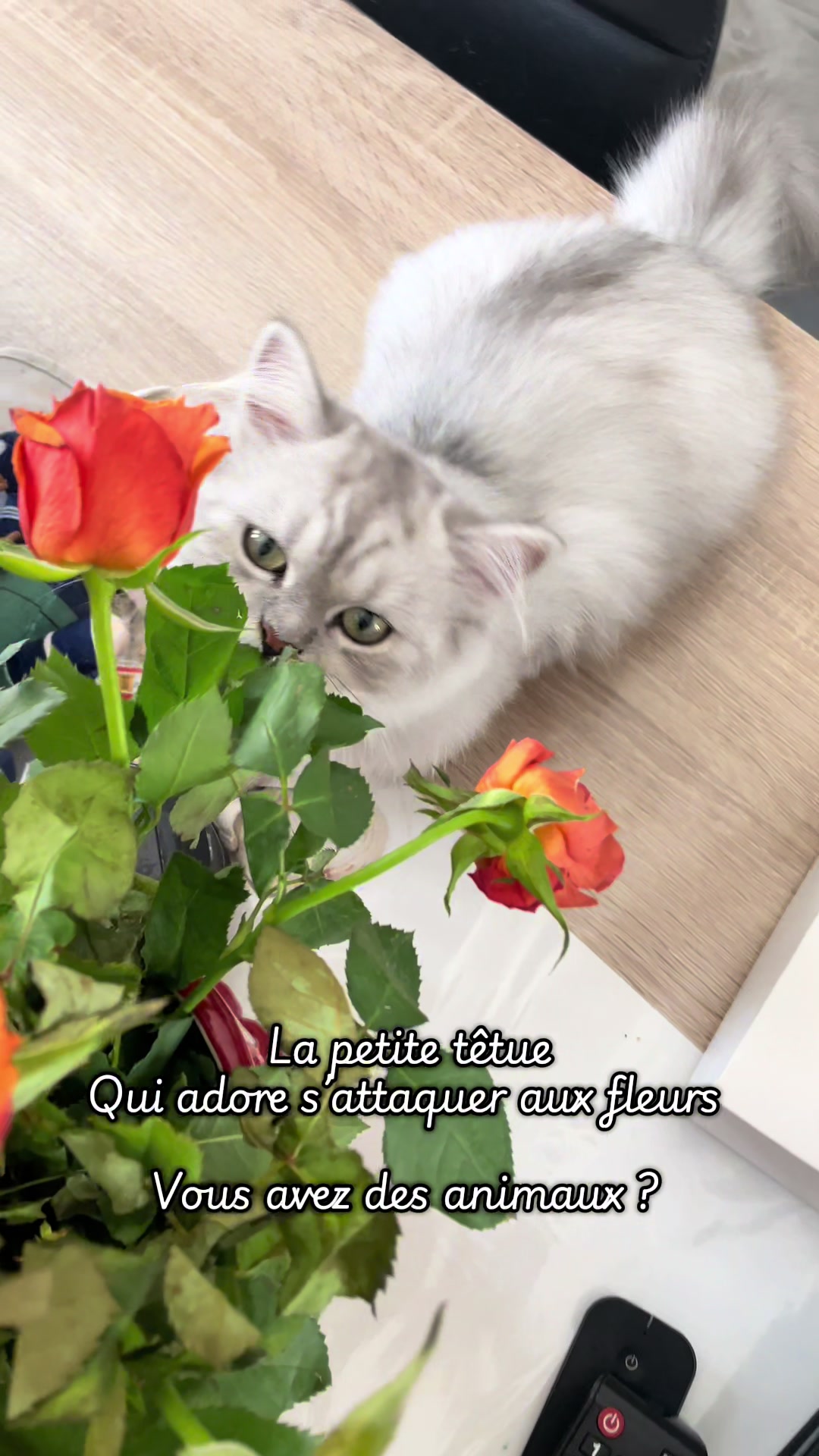 @Anaïs 🤎🍂🫶🏼