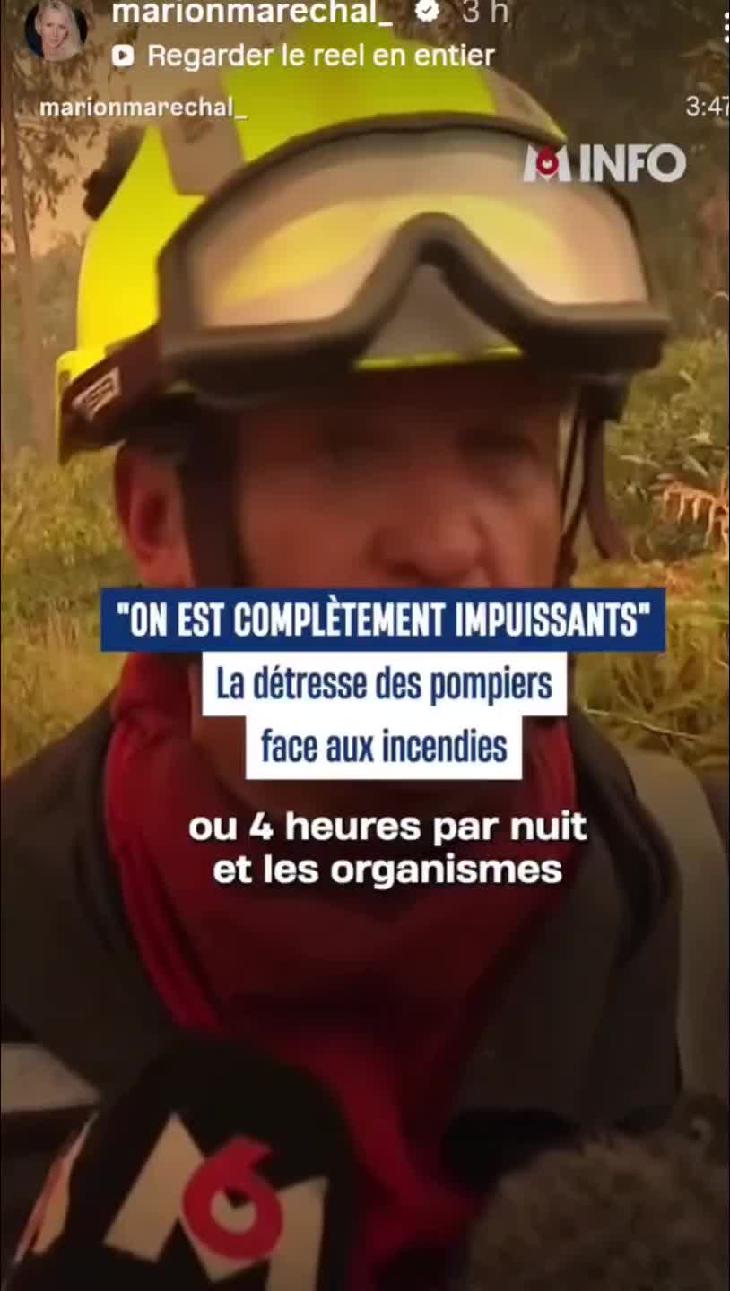 @b,s,f
