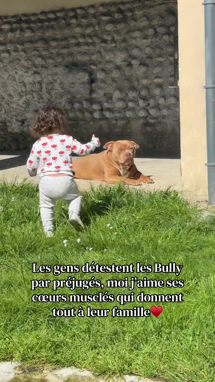 @🧩team bully🐶🧸