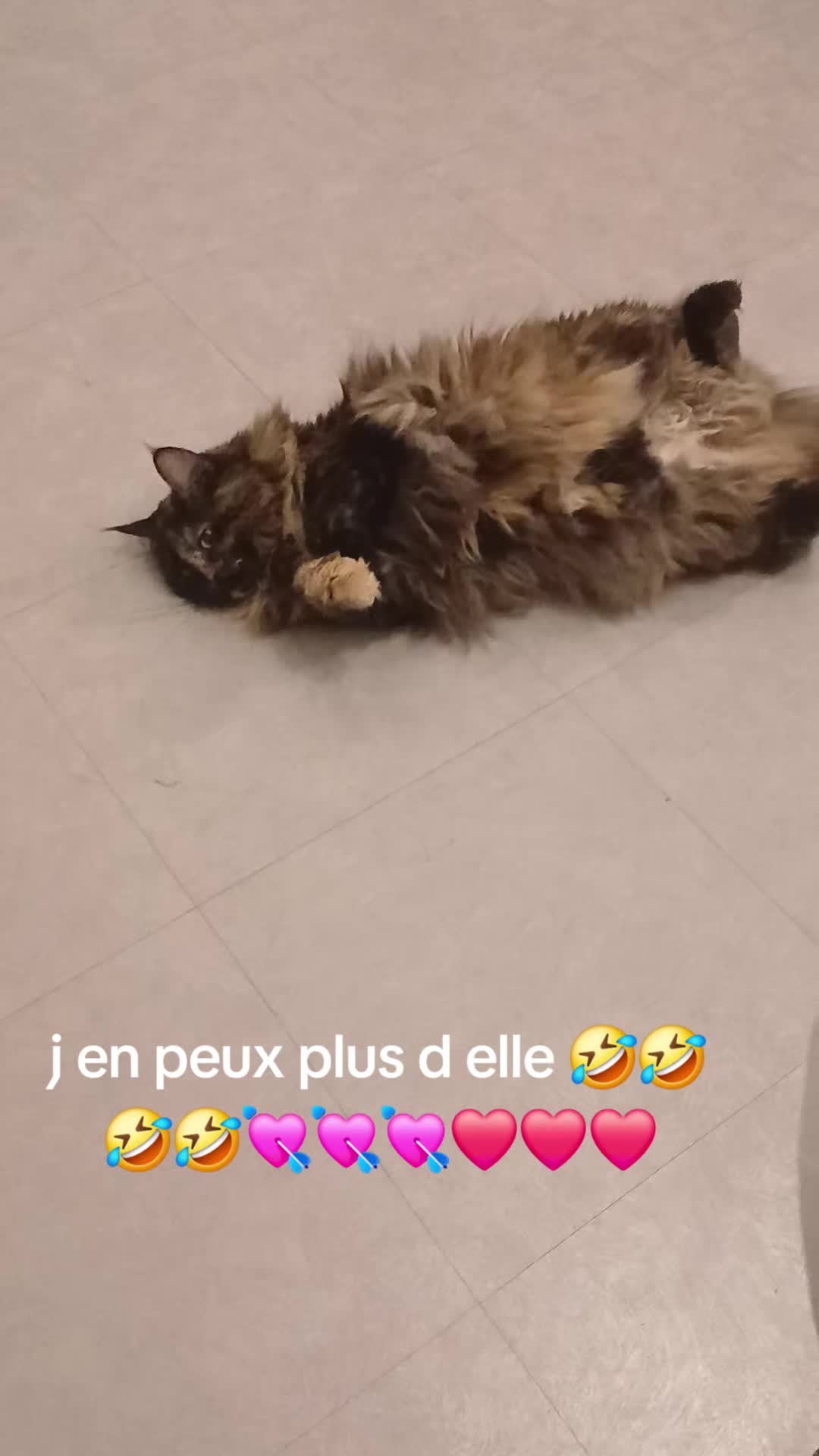 @La guerrière au bouclier 🛡🙏