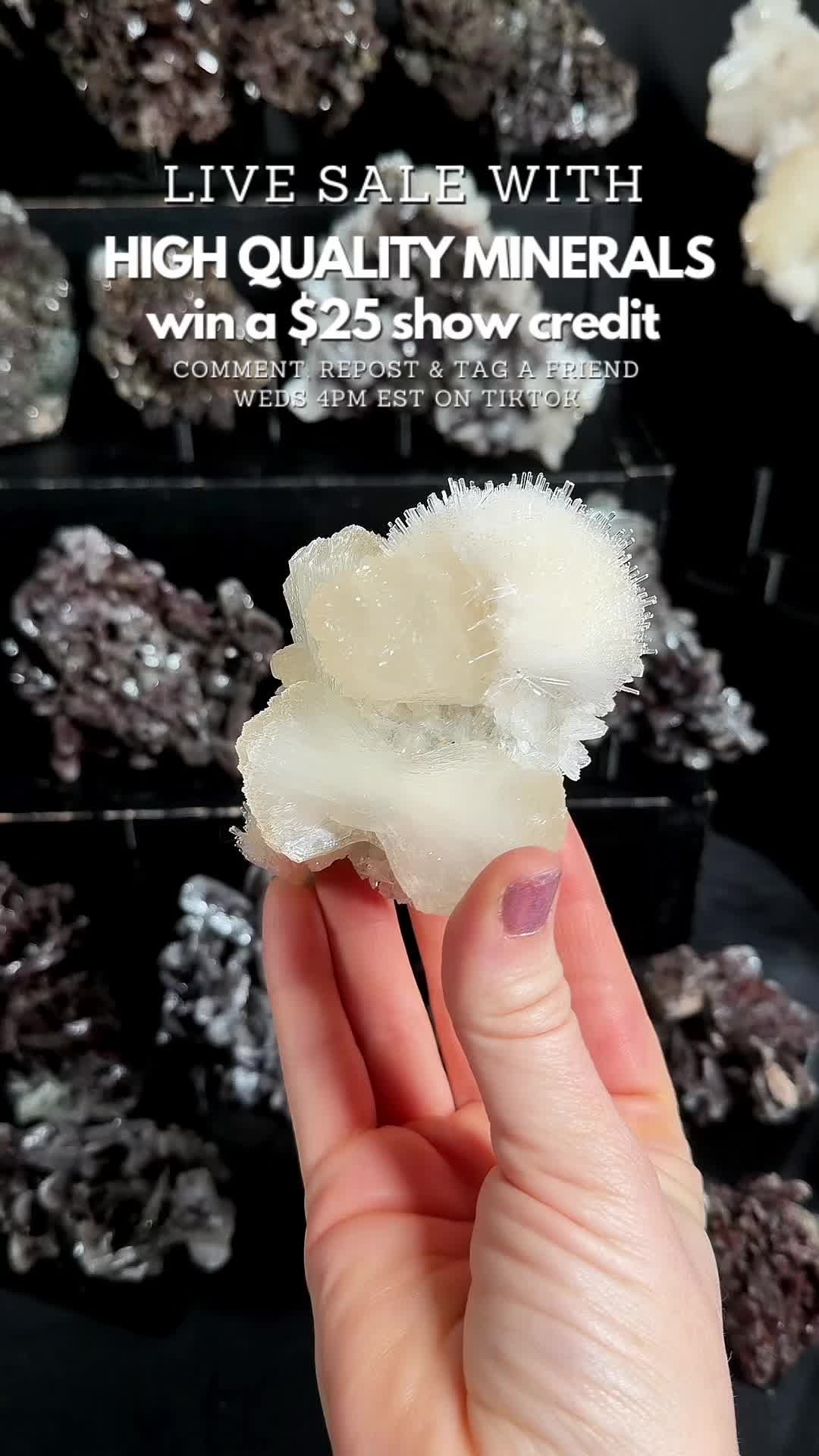 @Crystal Live Emporium✨Natalie