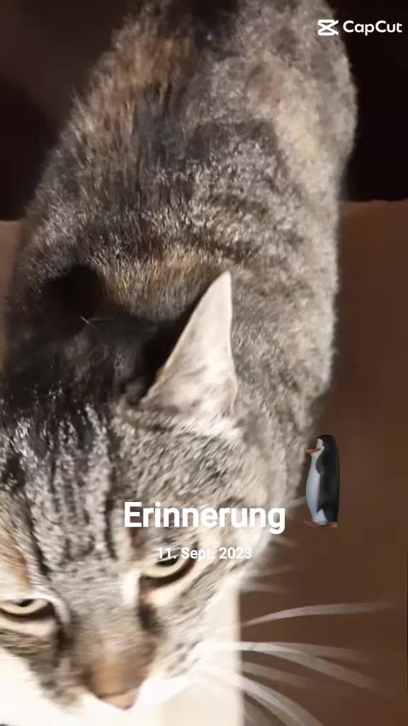 @Susi & der Dosenöffner 🤔🤣