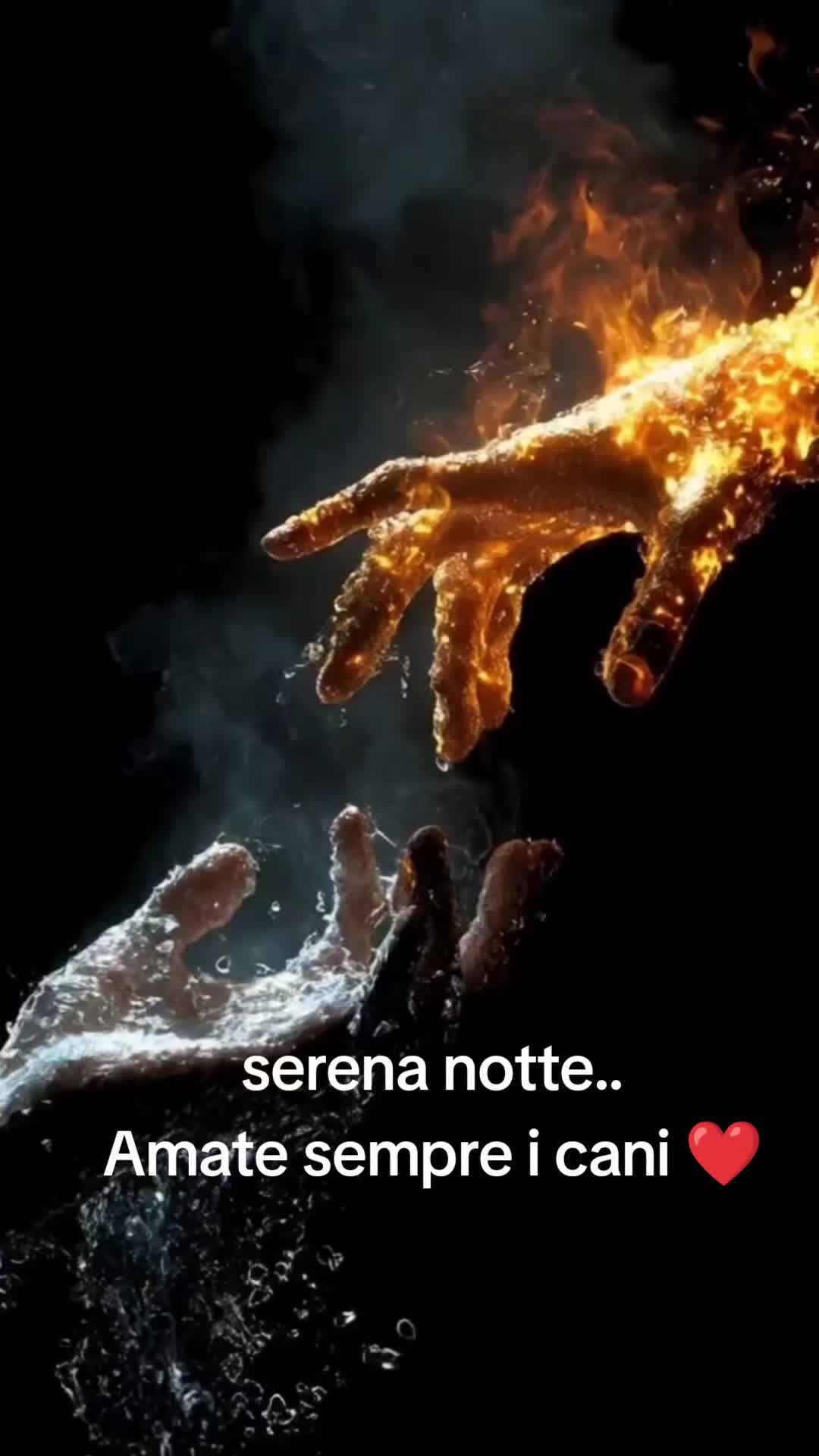 @Simona Wolves