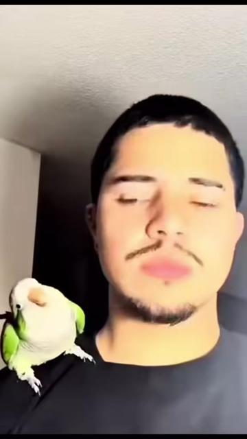 @$el_wicho
