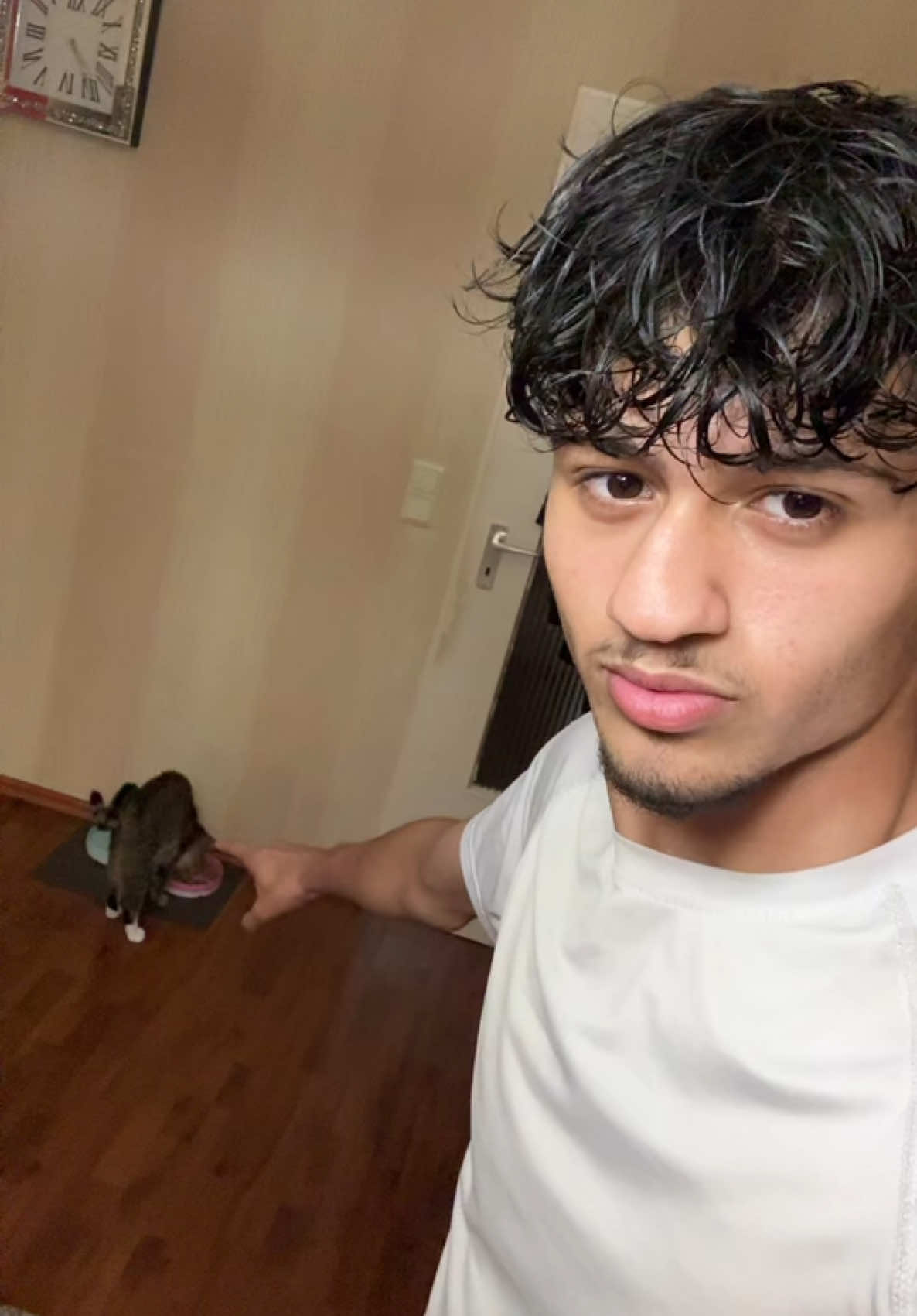 @D i l o