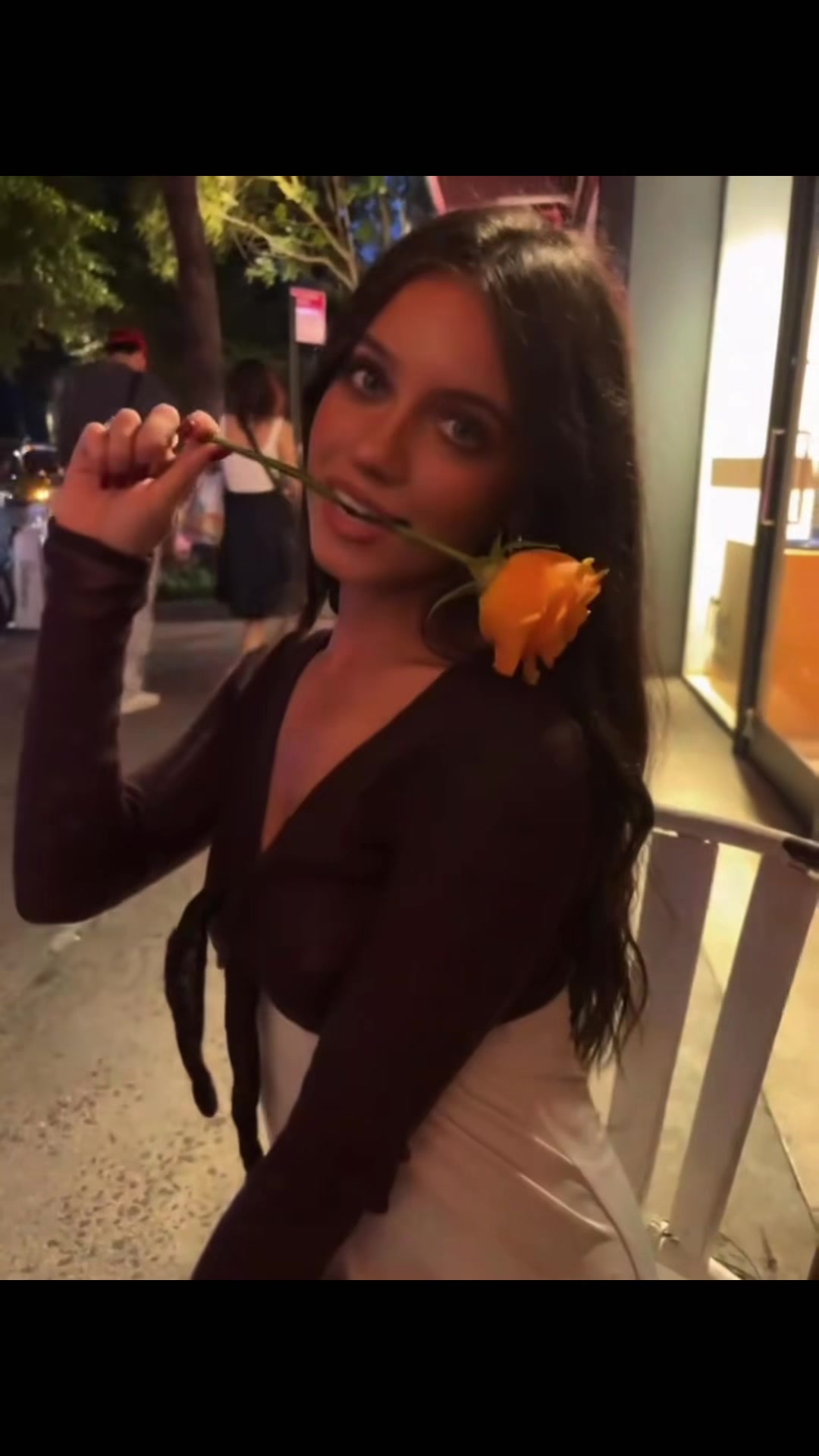 @🐢