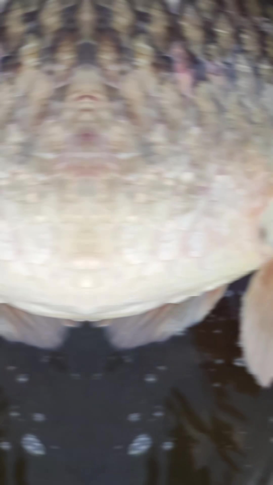 @Jocarpfishing