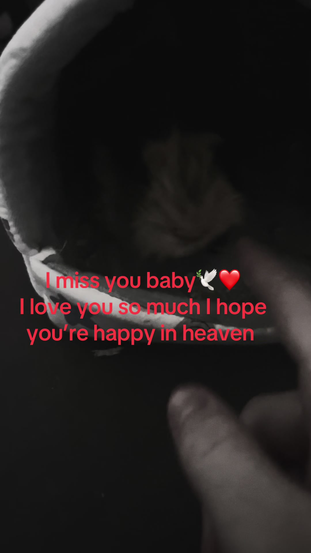@St4r_bella.