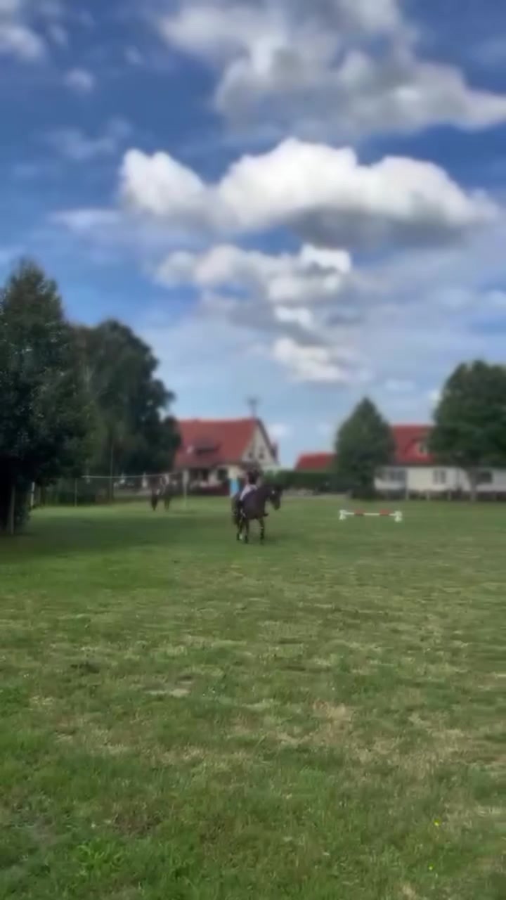 @Helene🦅🇩🇪