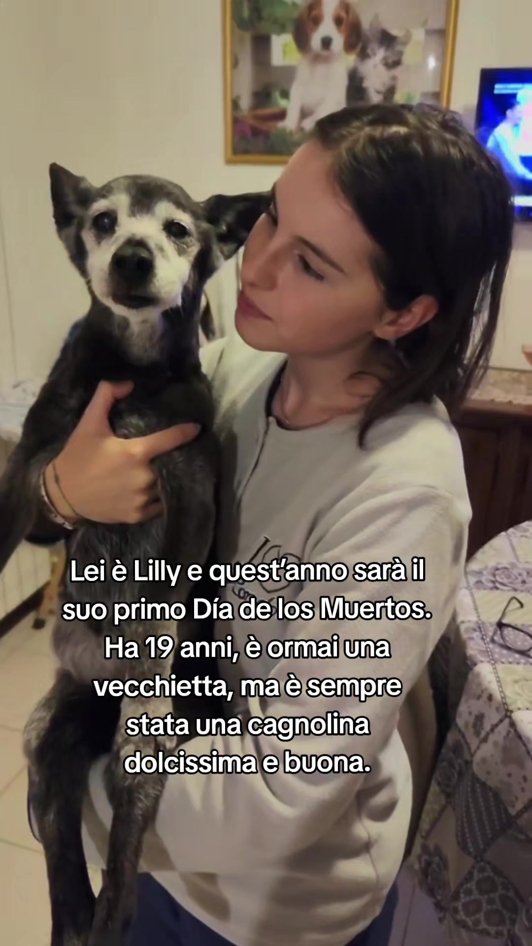 @Valentina Sassi