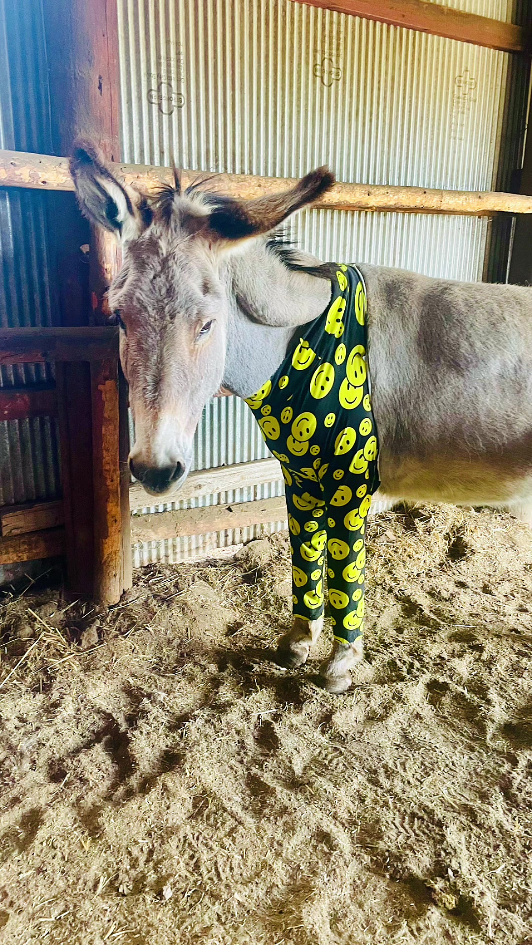 @CCDonkeysOfficial