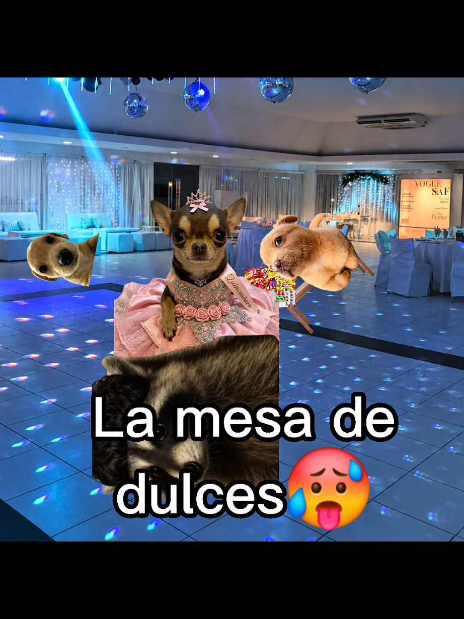 @El Perrix
