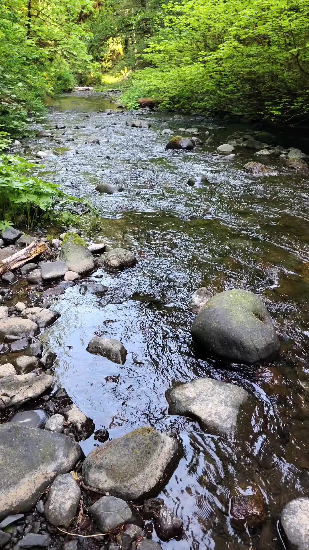 @Idaho Adventurer