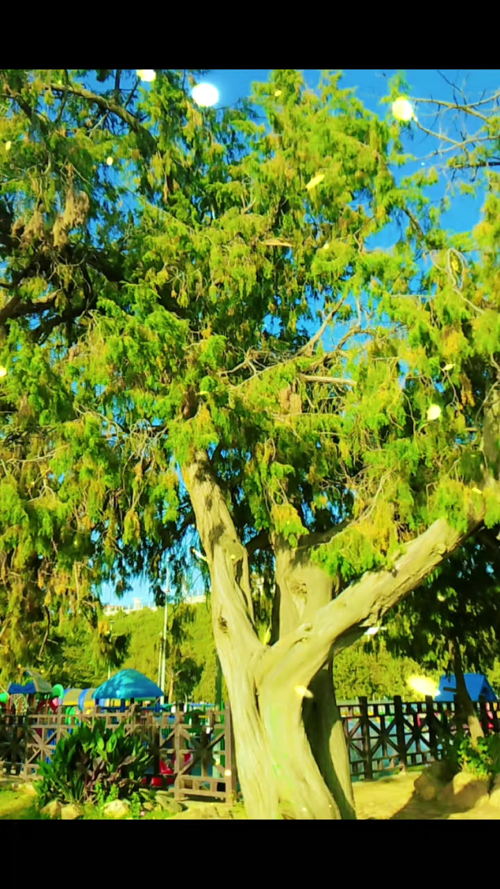 @🇸🇦🐦🐦পাখি🐦🐦Pakhi🐦🐦🇸🇦