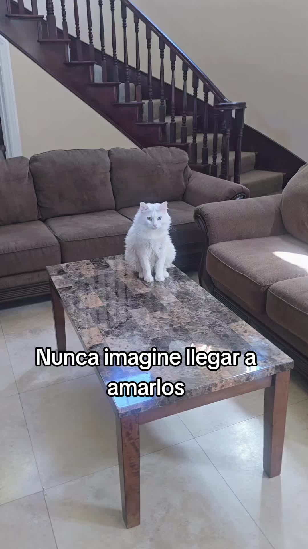 @adg