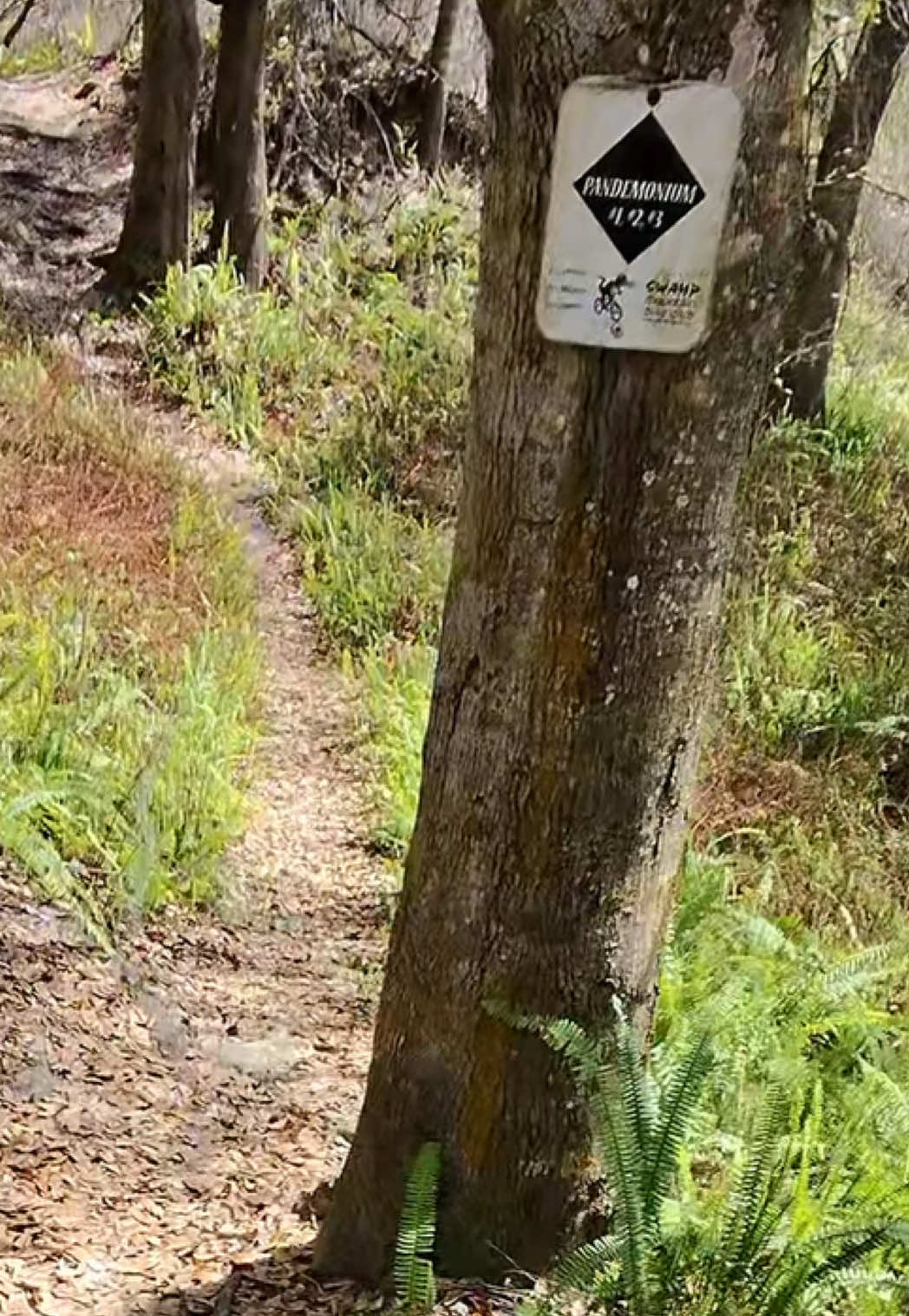 @Flow_MTB