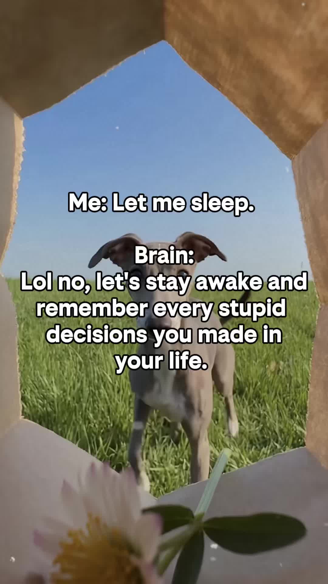 @MIKE ♌️ ❌
