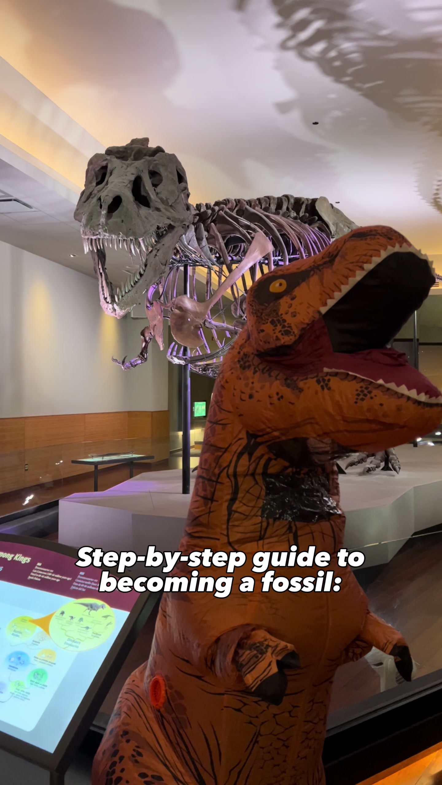@Field Museum