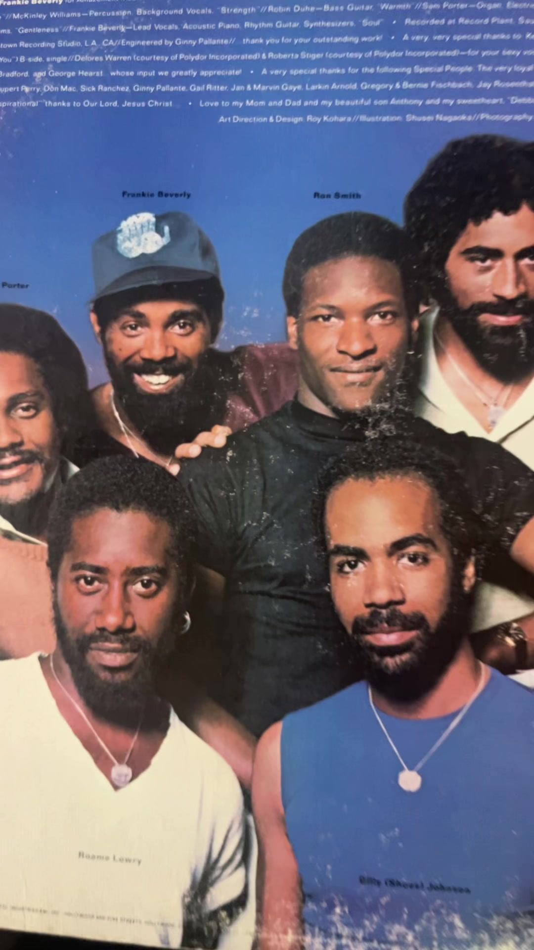 @The Vinylist