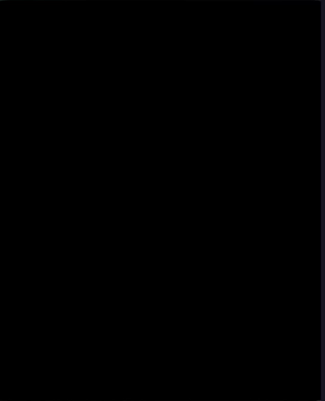 @—͞ᎮοᏞλsʜܔ