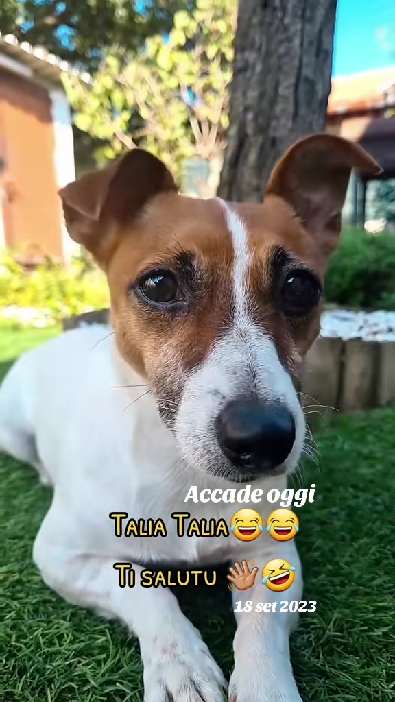 @TizianaMessina15