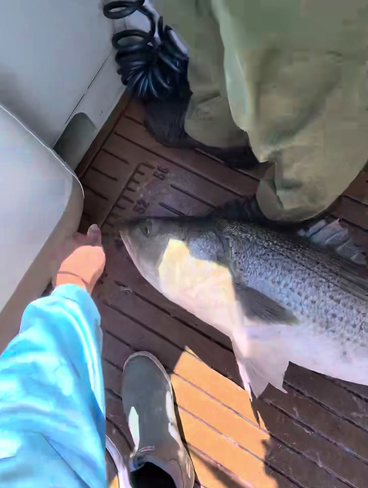 @Tacklepusher