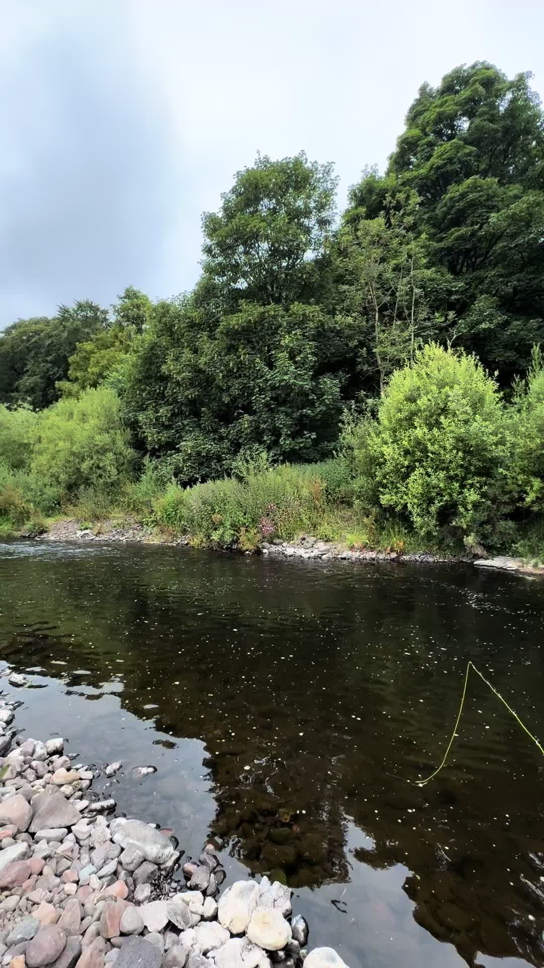@Alba Trout 🏴
