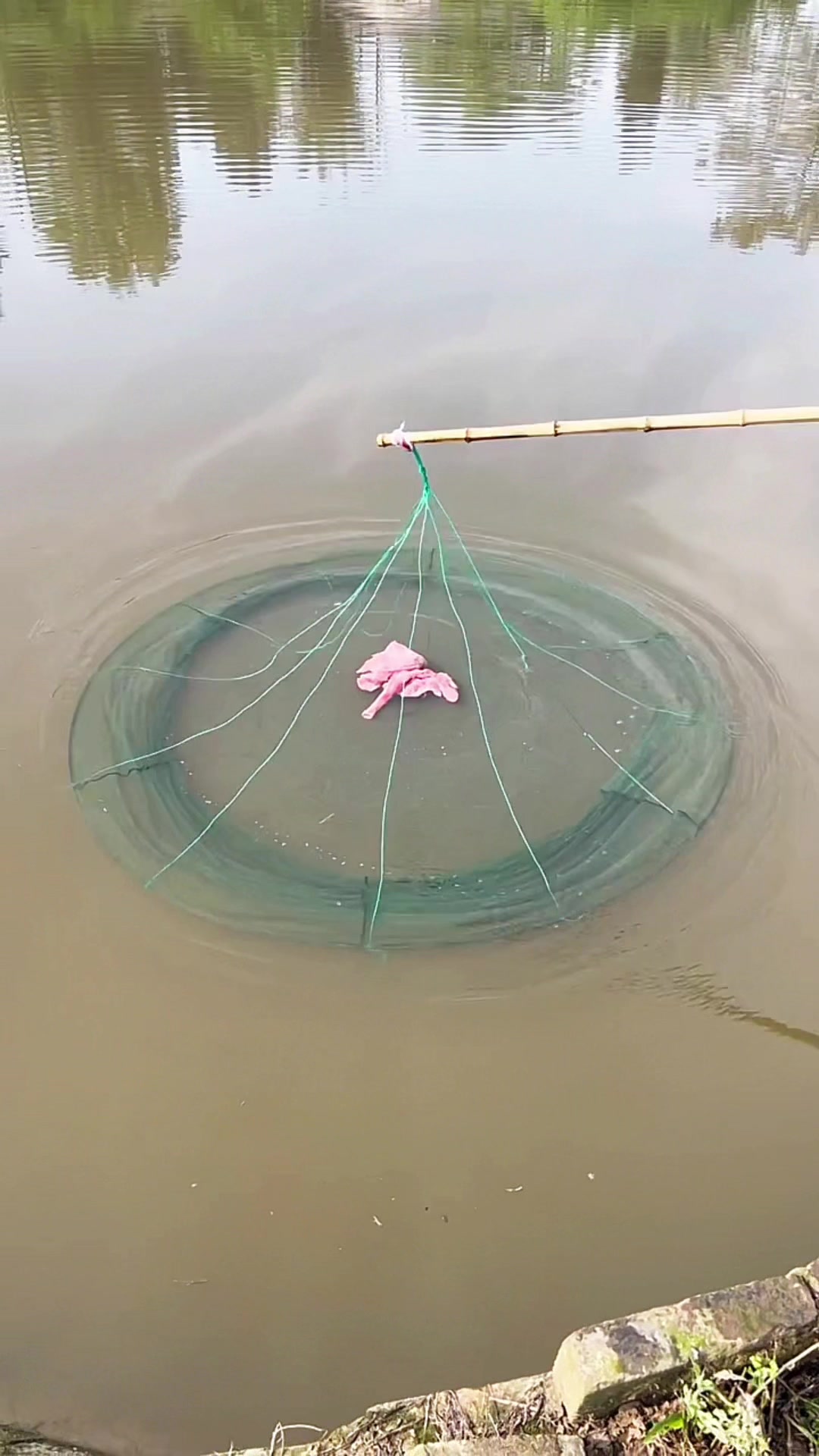 @Fishing King