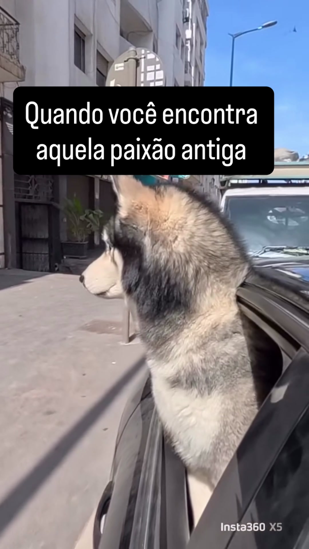 @Lusitonio Machado Do