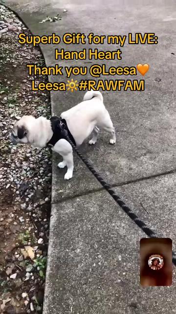 @compassiondragon #rawfam