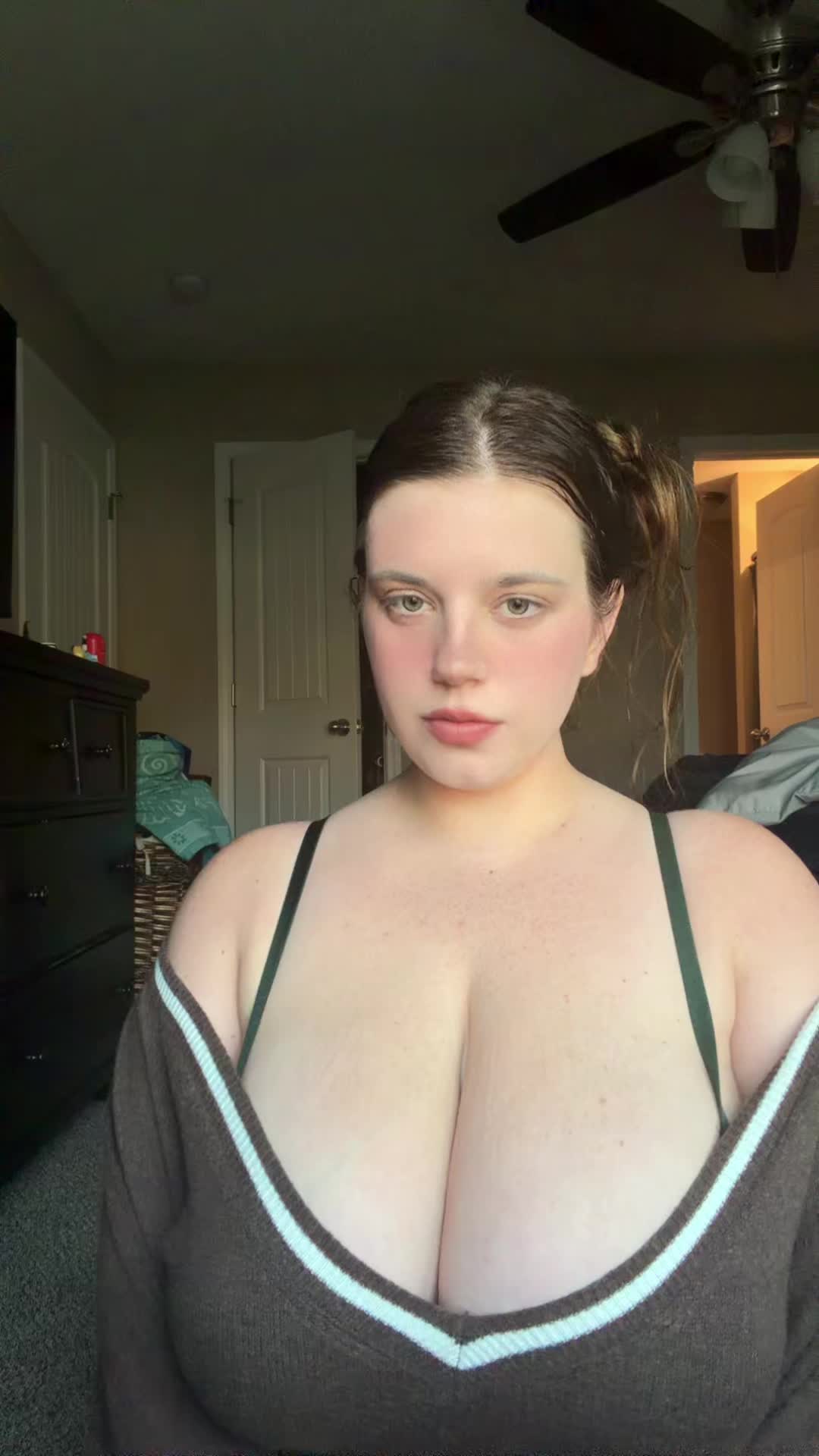 @Halz444