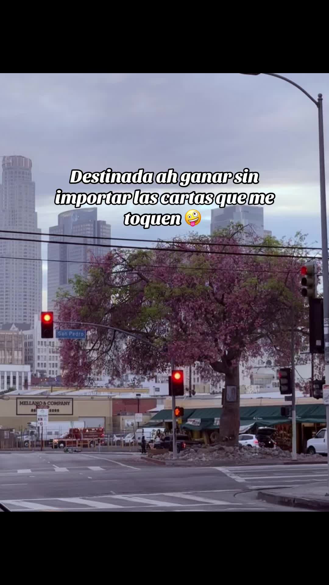 @Clari Velasquez ☘️🌹🌻🍒
