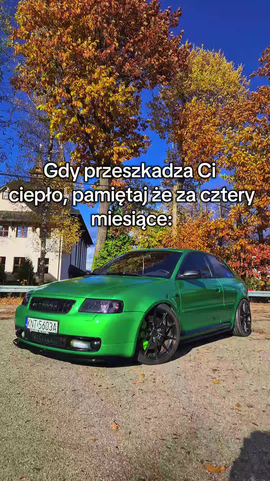 @audiblacks38l