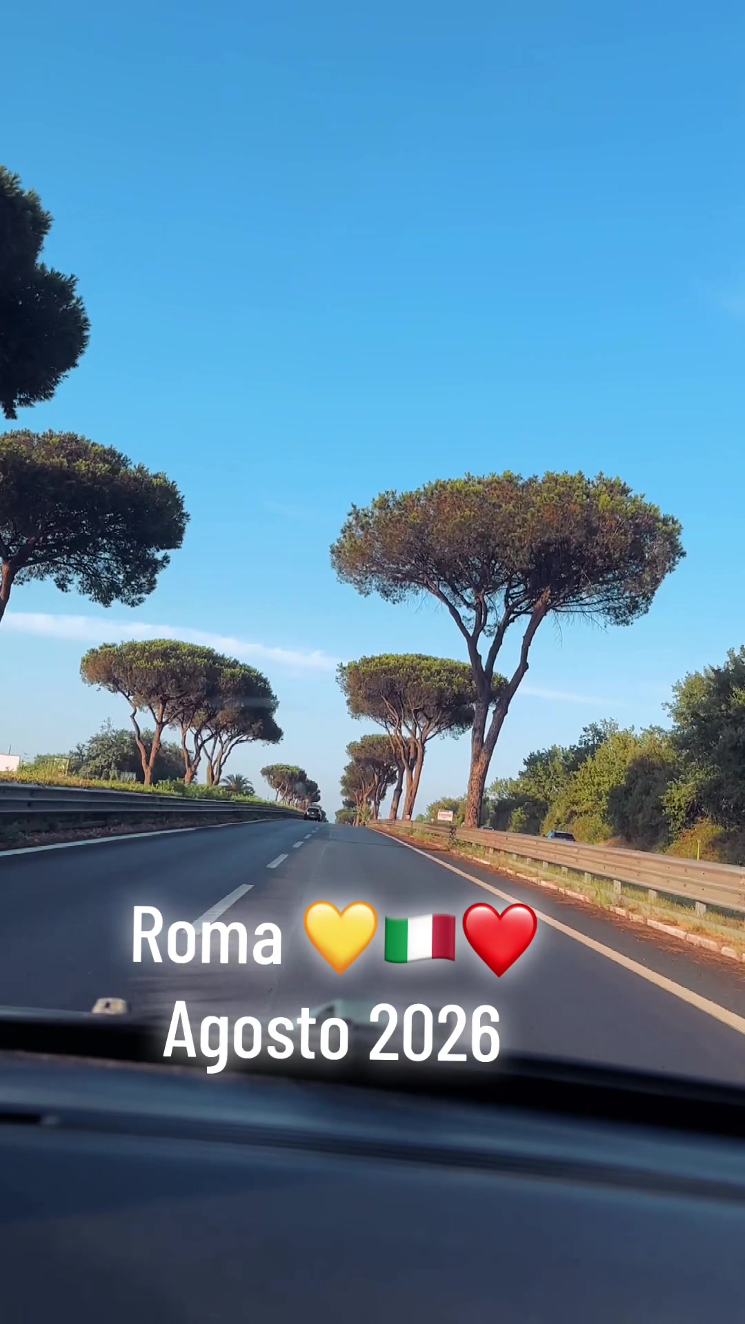 @♥️🐾💛Nina Barboncino ♥️🐾💛
