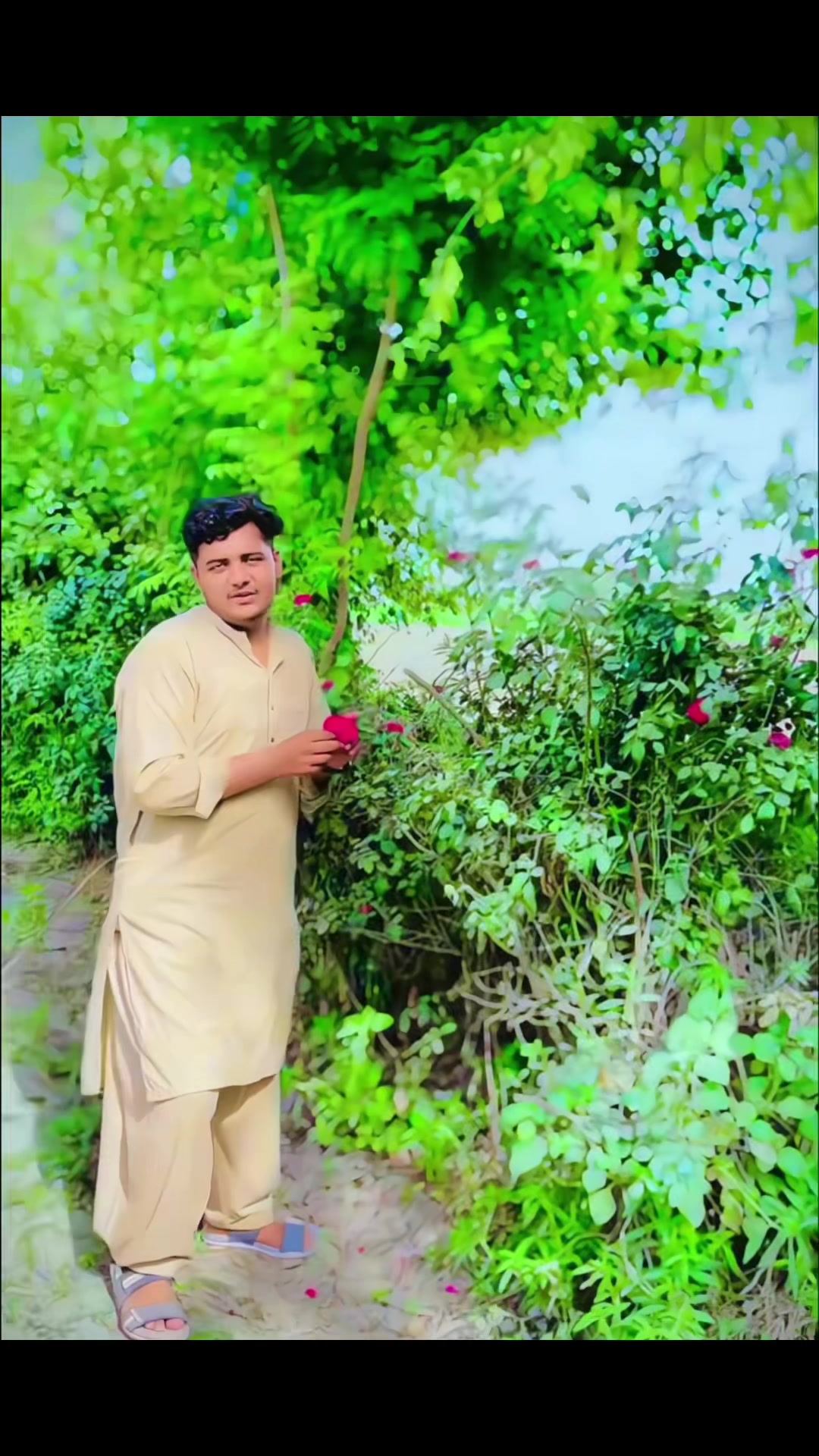 @H.Saadat❤️