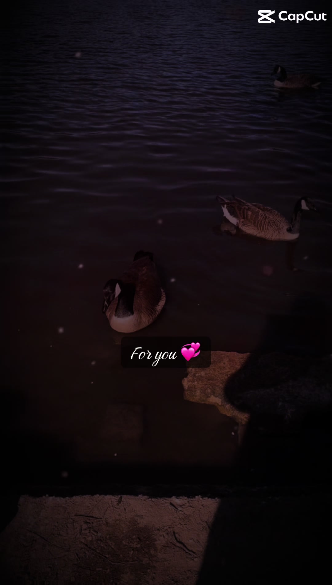 @Kashmiri meerab