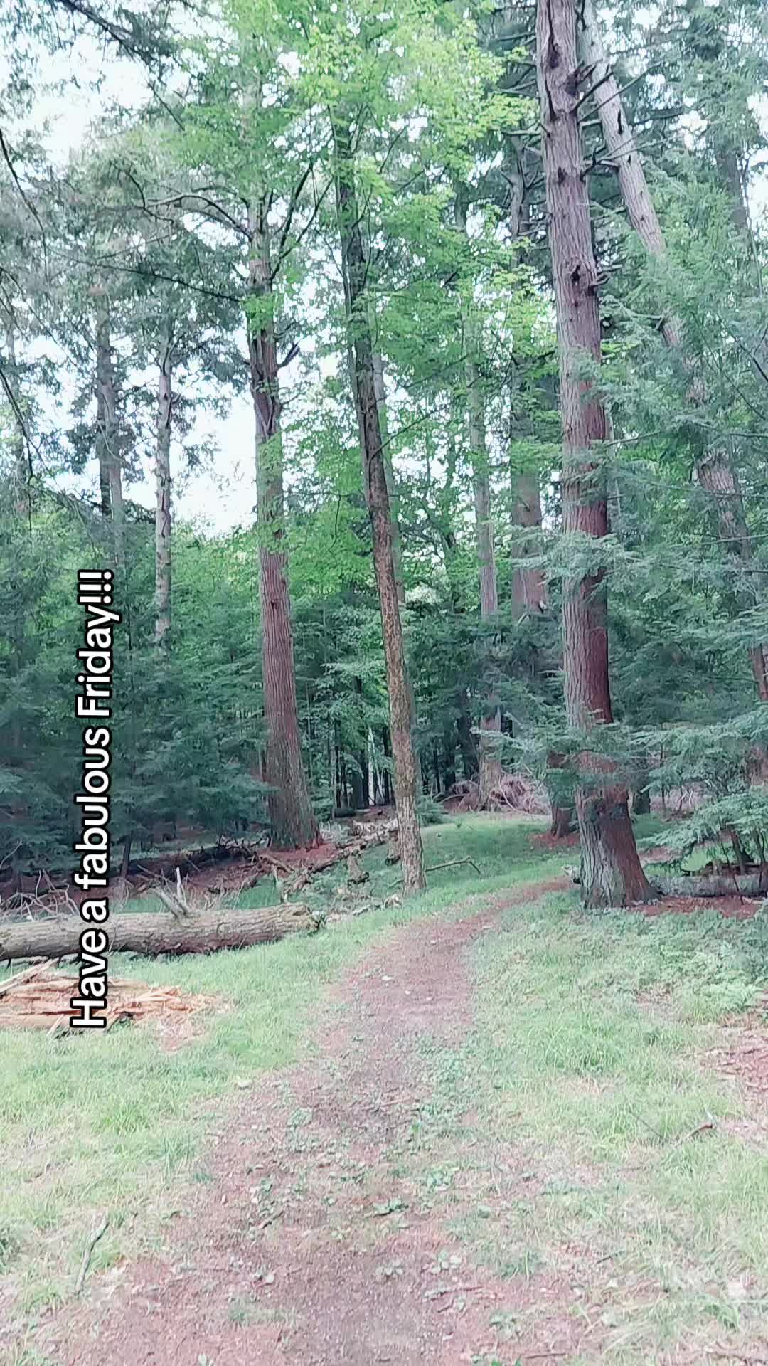 @LostYooperNerd