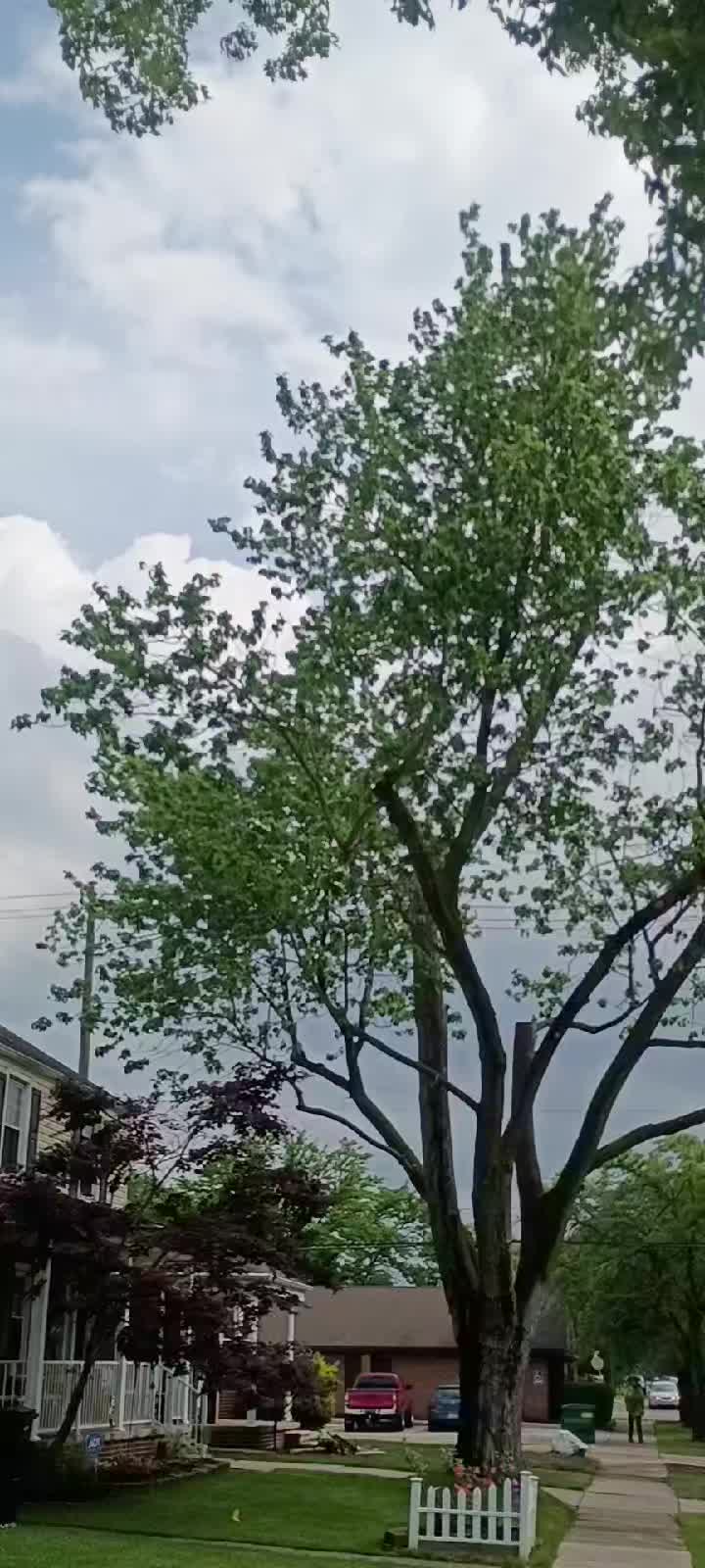 @JayGee