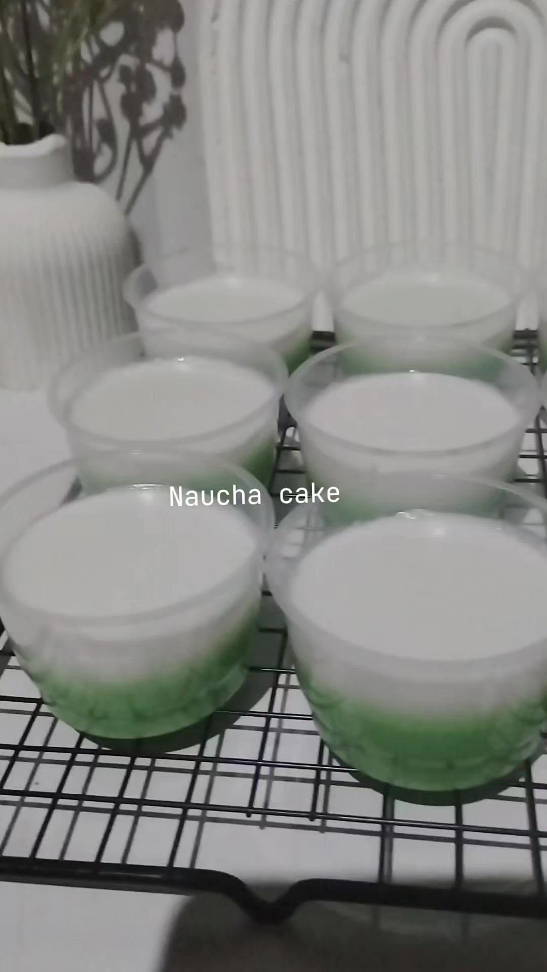 @Naucha_nn🕊