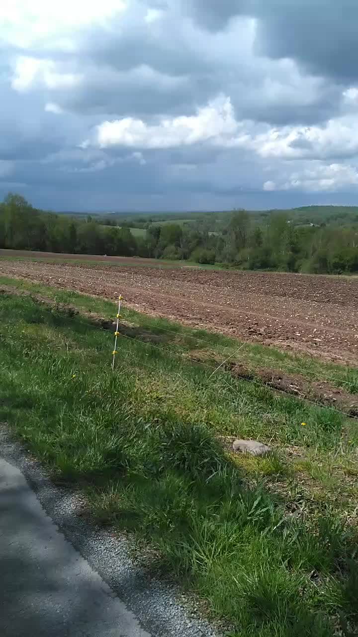 @thegoodnoise11