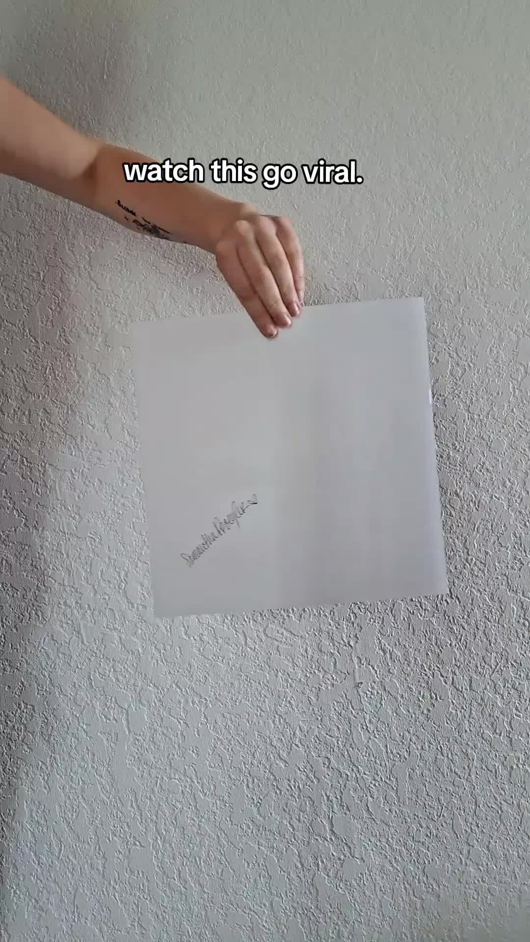 @Samantha Proegler |  Artist