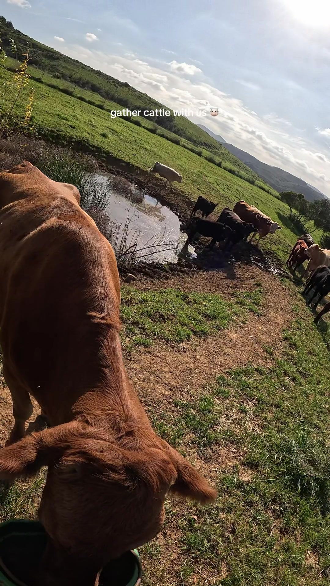 @myranchdiary