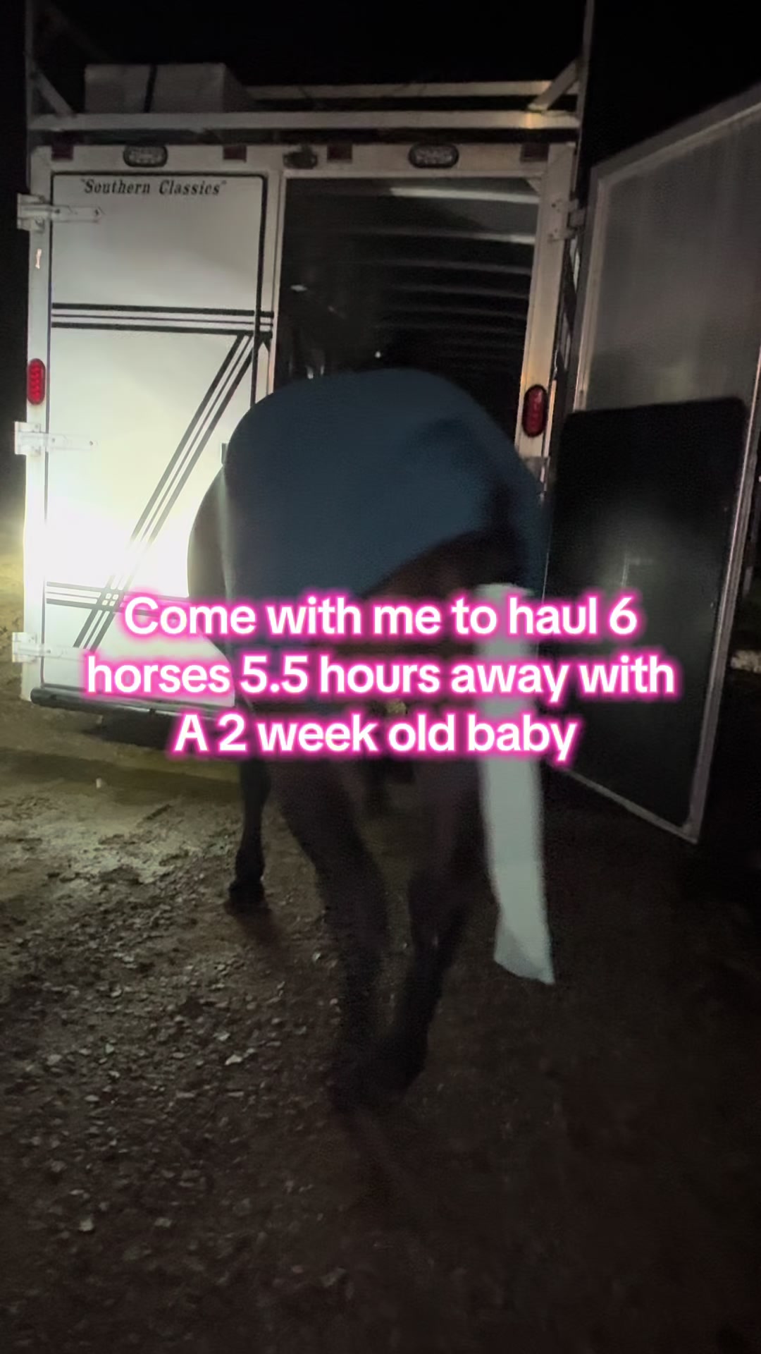 @Living Lucky Quarter Horses